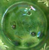 Green Rye teapot (mark)
